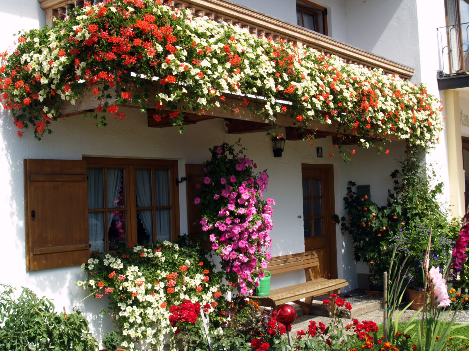 Prišel je čas za balkonske rože